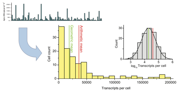 histogram skewed to left. Figure 3: Top left: Insulin I