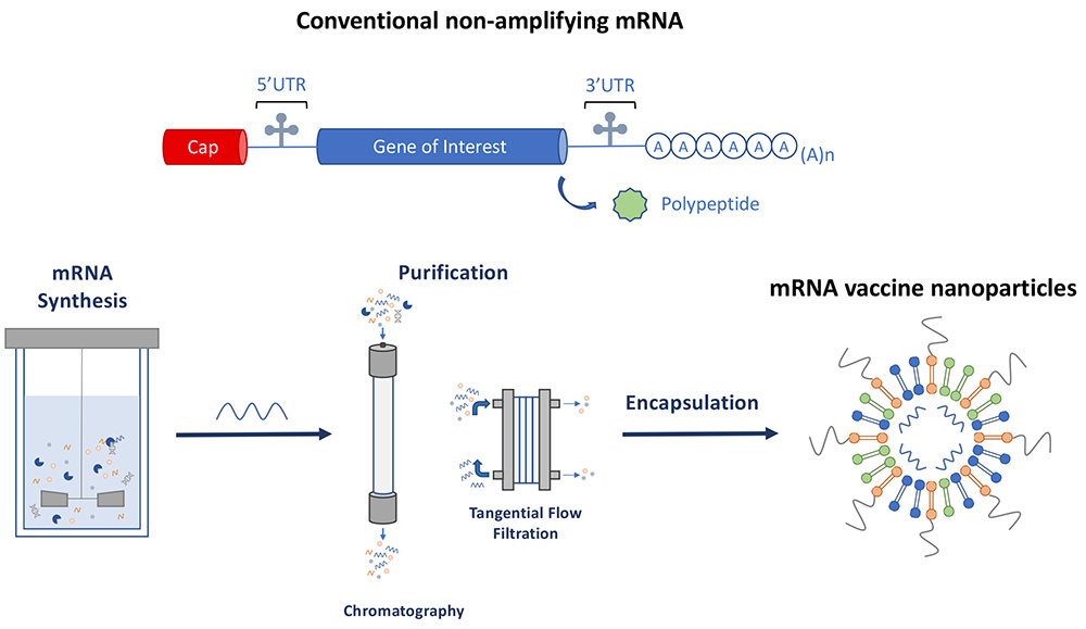 What Are The Challenges In Developing And Delivering Lipid Nanoparticle