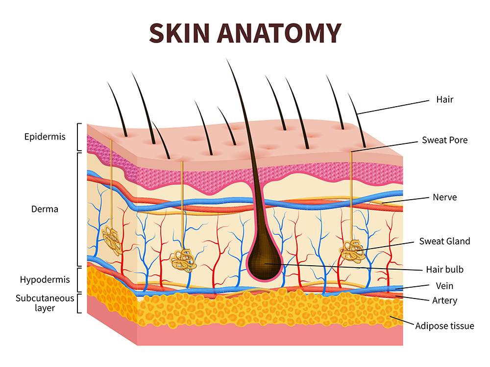 Improvements in skin and nail drug delivery using nano formulations