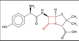 Figure-1 Amoxicilline-and-Clavulanic-acid