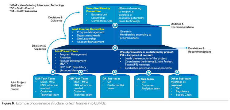 Example of governance structure for tech transfer to CDMO 