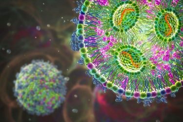 Key developments: mRNA vaccines and therapeutics