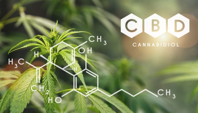 Ten recommendations to foster the UK’s medicinal cannabis market