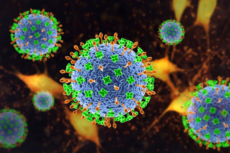 Nipah Virus Vaccine Enters Phase I Trial - European Pharmaceutical Review