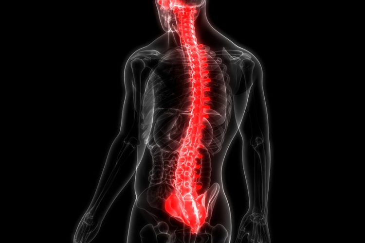 Scientists repair spinal cord injuries using patients’ stem cells