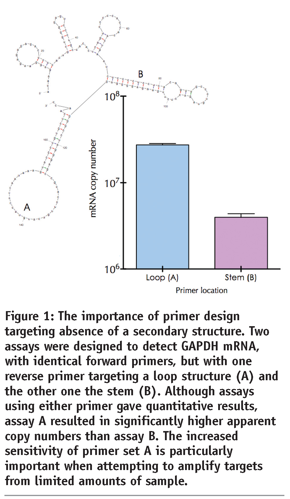 Real Time Quantitative Pcr Opportunities And Pitfalls European Pharmaceutical Review