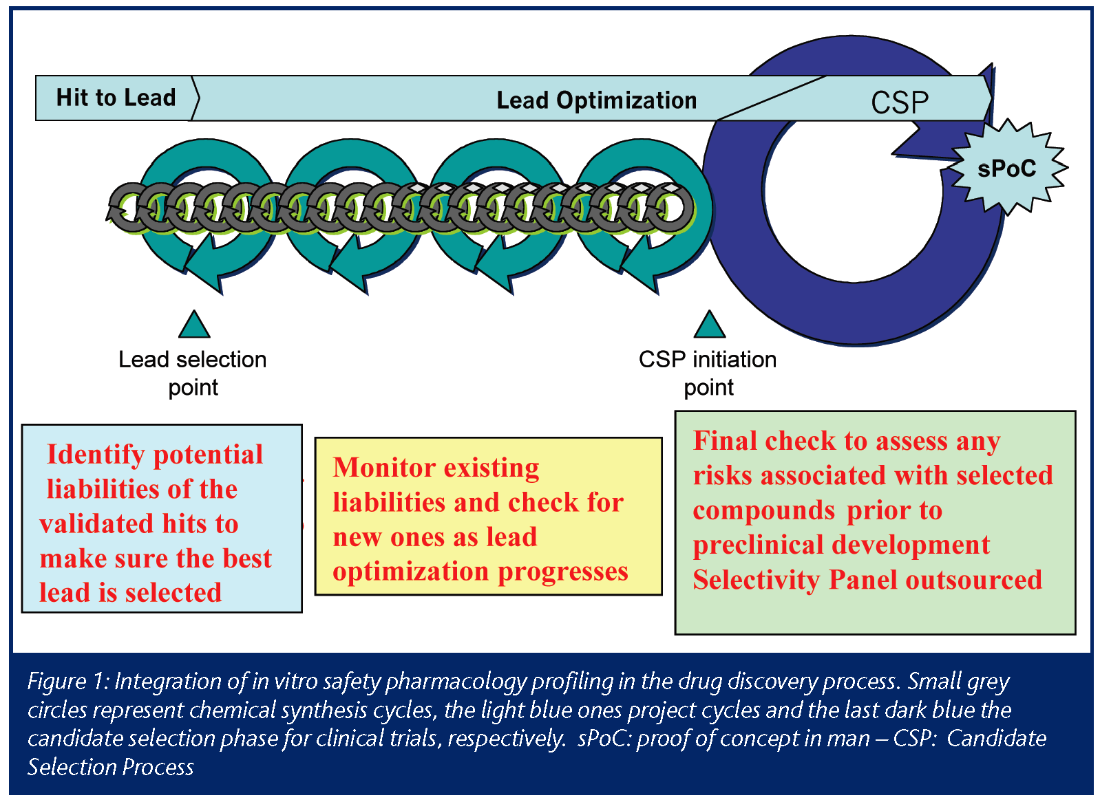 Early Safety Assessment - Drug Discovery and Development Based on