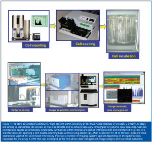 Challenges in High-Content siRNA Screening - European Pharmaceutical Review