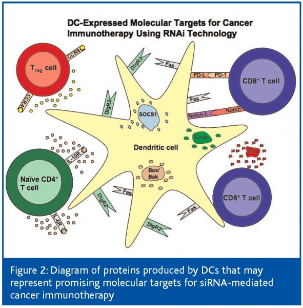 Cancer immunotherapy using RNAi - European Pharmaceutical Review