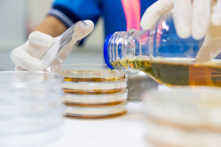 Could reducing agar concentration enhance microbial growth?