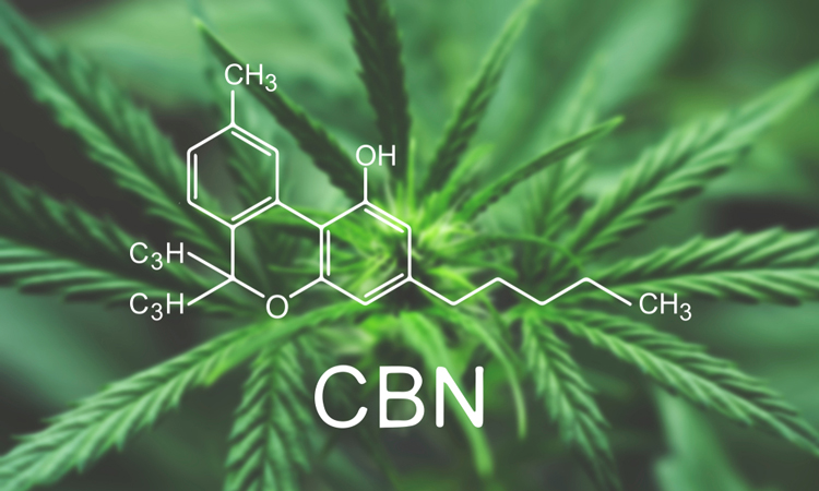 First human clinical trial to study cannabinol initiated