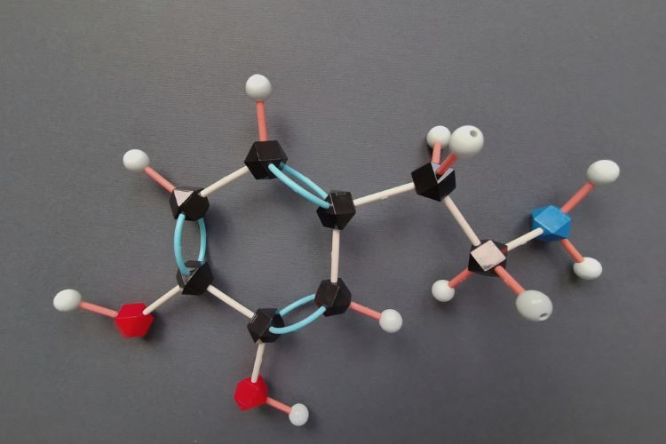 long-acting injectable (LAI) schizophrenia