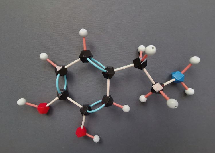 long-acting injectable (LAI) schizophrenia