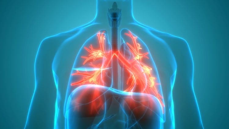 antibody-drug conjugate biologic lung cancer