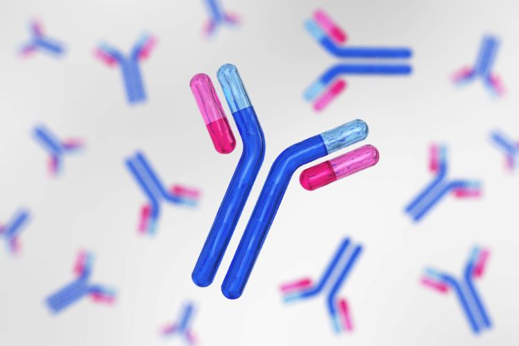 bispecific antibody BioNTech