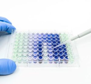 Reagents endotoxin