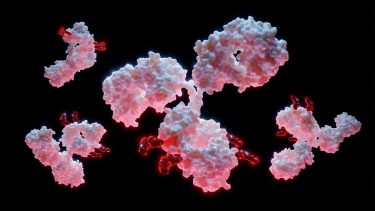 oncology antibody-drug conjugate (ADC)