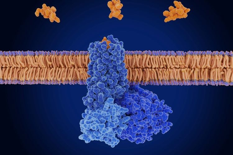 radiotherapeutic radioligand Novartis