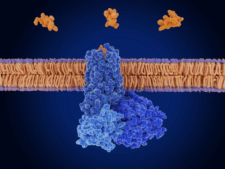 radiotherapeutic radioligand Novartis