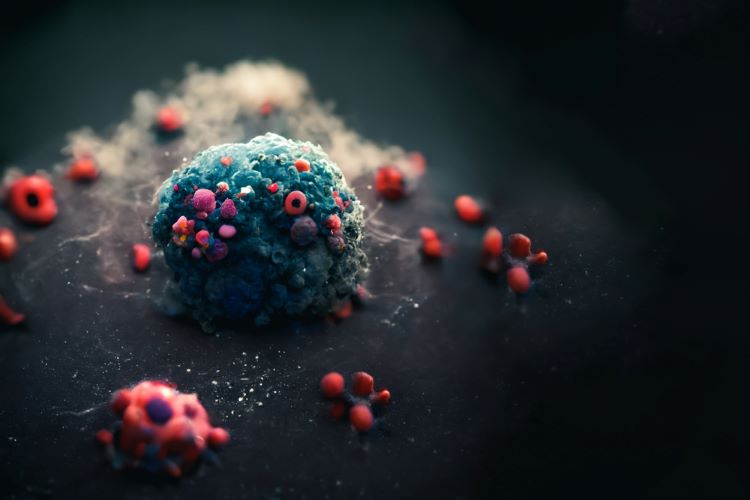 Nanoparticle drug delivery