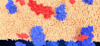 GLP-1 receptor agonists kidney disease