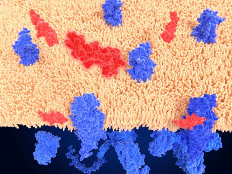 GLP-1 receptor agonists kidney disease