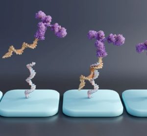 oligonucleotide therapeutics bioanalysis