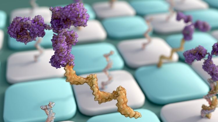 Oligonucleotides liquid chromatography–mass spectrometry (LC-MS)