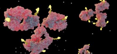 antibody drug conjugate Elahere AbbVie