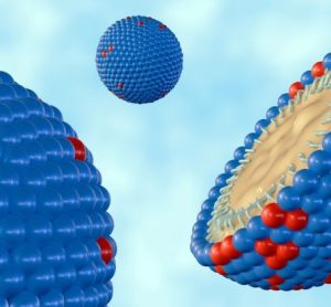 nanoemulsion bedaquline formulation