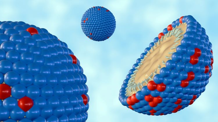 nanoemulsion bedaquline formulation