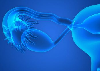 Bioengineered ovaries found to be more effective than HRT