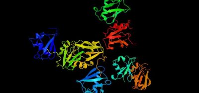 NOX inhibitors fibrotic diseases