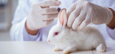 rabbit pyrogen test (RPT)