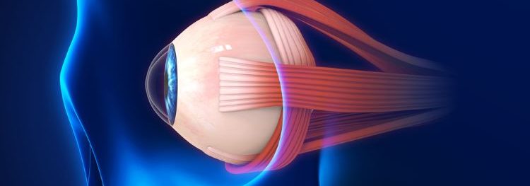 Genentech to reveal new data for ocular biologic vabysmo at 2023 ASRS